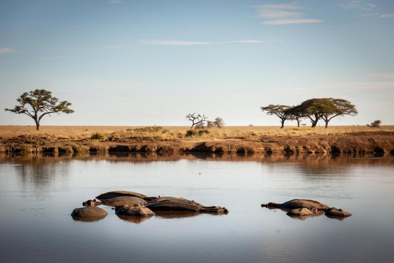 Mawe Tented Camp Serengeti Exteriör bild