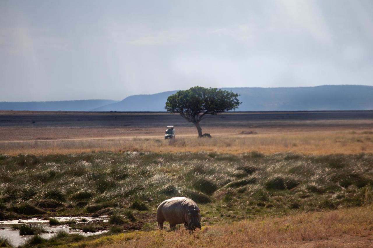 Mawe Tented Camp Serengeti Exteriör bild