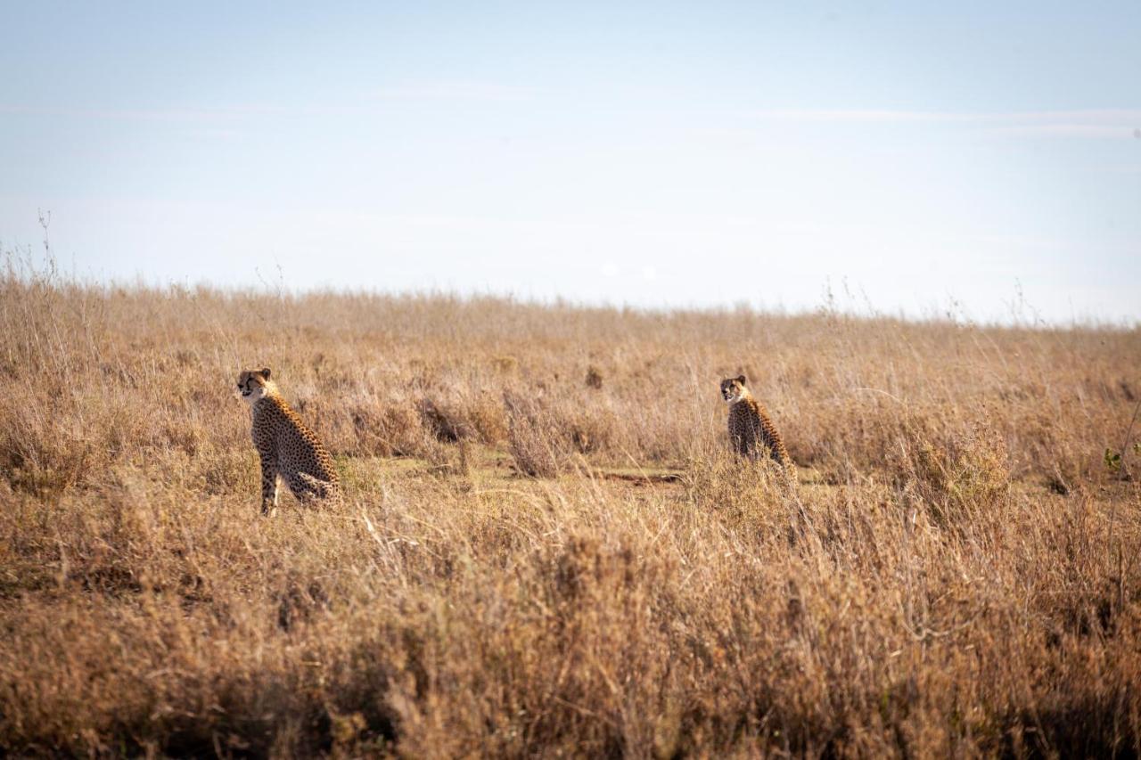 Mawe Tented Camp Serengeti Exteriör bild