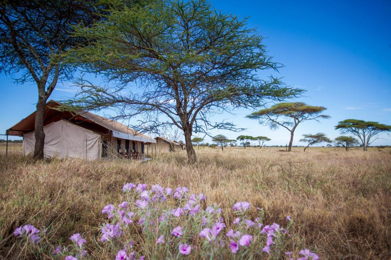 Mawe Tented Camp Serengeti Exteriör bild