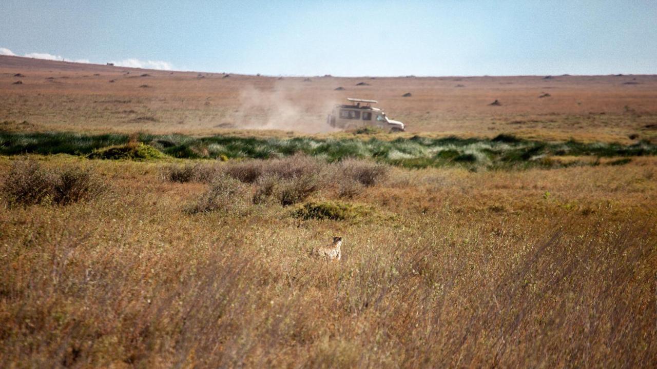 Mawe Tented Camp Serengeti Exteriör bild