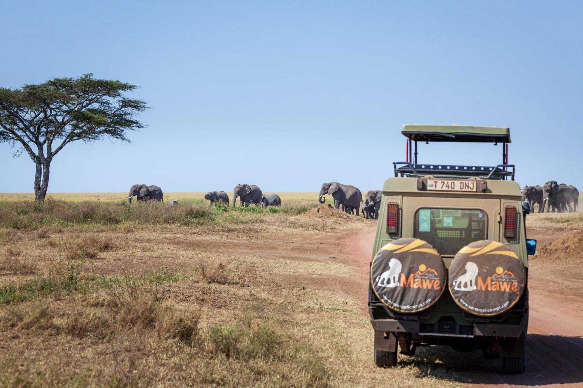 Mawe Tented Camp Serengeti Exteriör bild