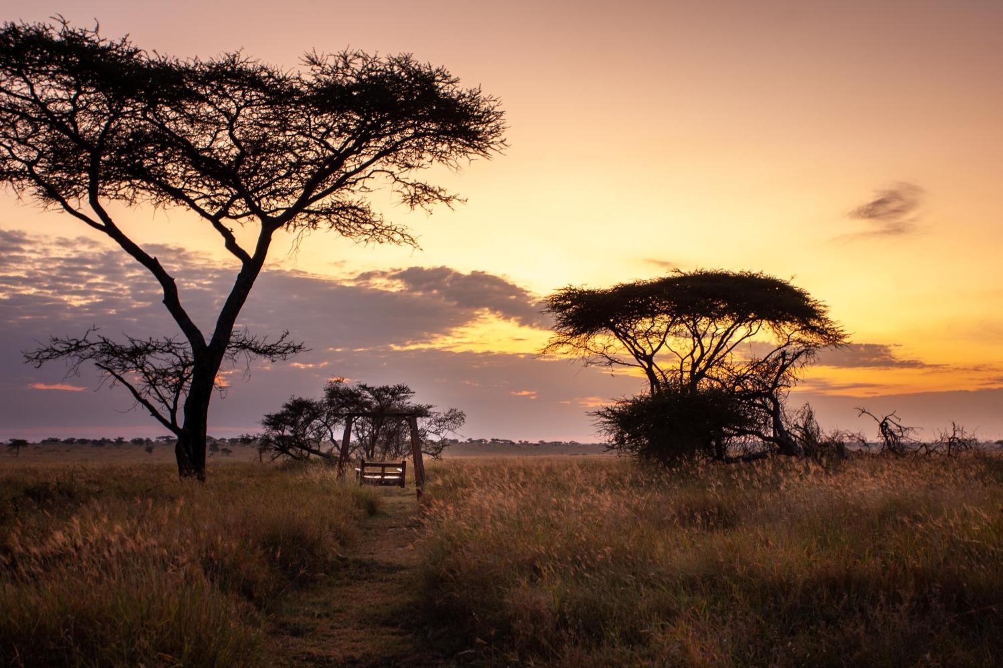 Mawe Tented Camp Serengeti Exteriör bild